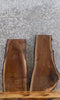 Thumbnail for 2- Live Edge Black Walnut Taxidermy Mount/ Wall Shelf Slabs 13326-13327