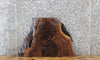 Thumbnail for Walnut Live Edge Charcuterie/Taxidermy/End Table Slab 13328
