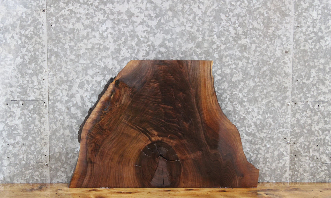 Walnut Live Edge Charcuterie/Taxidermy/End Table Slab 13328