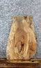 Thumbnail for Live Edge Spalted Maple End/Side Table Top Slab 13329