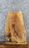 Thumbnail for Live Edge Spalted Maple End/Side Table Top Slab 13329