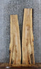 Thumbnail for 2- Spalted Maple Live Edge Charcuterie/Taxidermy/Shelf Slabs 1333-1334