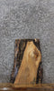 Thumbnail for Maple Live Edge Charcuterie/End Table Slab 13334