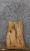 Thumbnail for Maple Live Edge Charcuterie/End Table Slab 13334