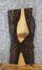 Thumbnail for Live Edge Black Walnut Taxidermy Mount/Side Table Top Slab 13339