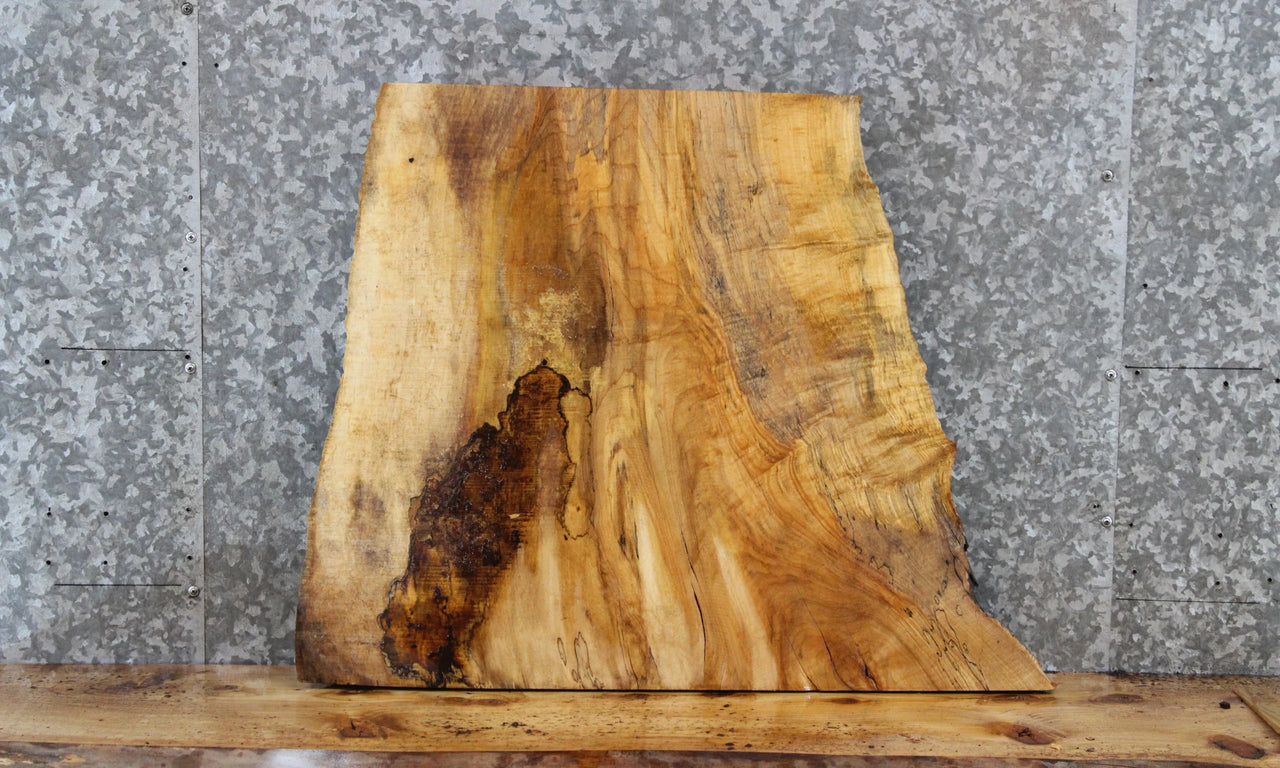 Figured Spalted Maple Live Edge Wood Slab 13340