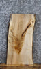 Thumbnail for Live Edge Maple Taxidermy Mount/Side Table Top Slab 13341