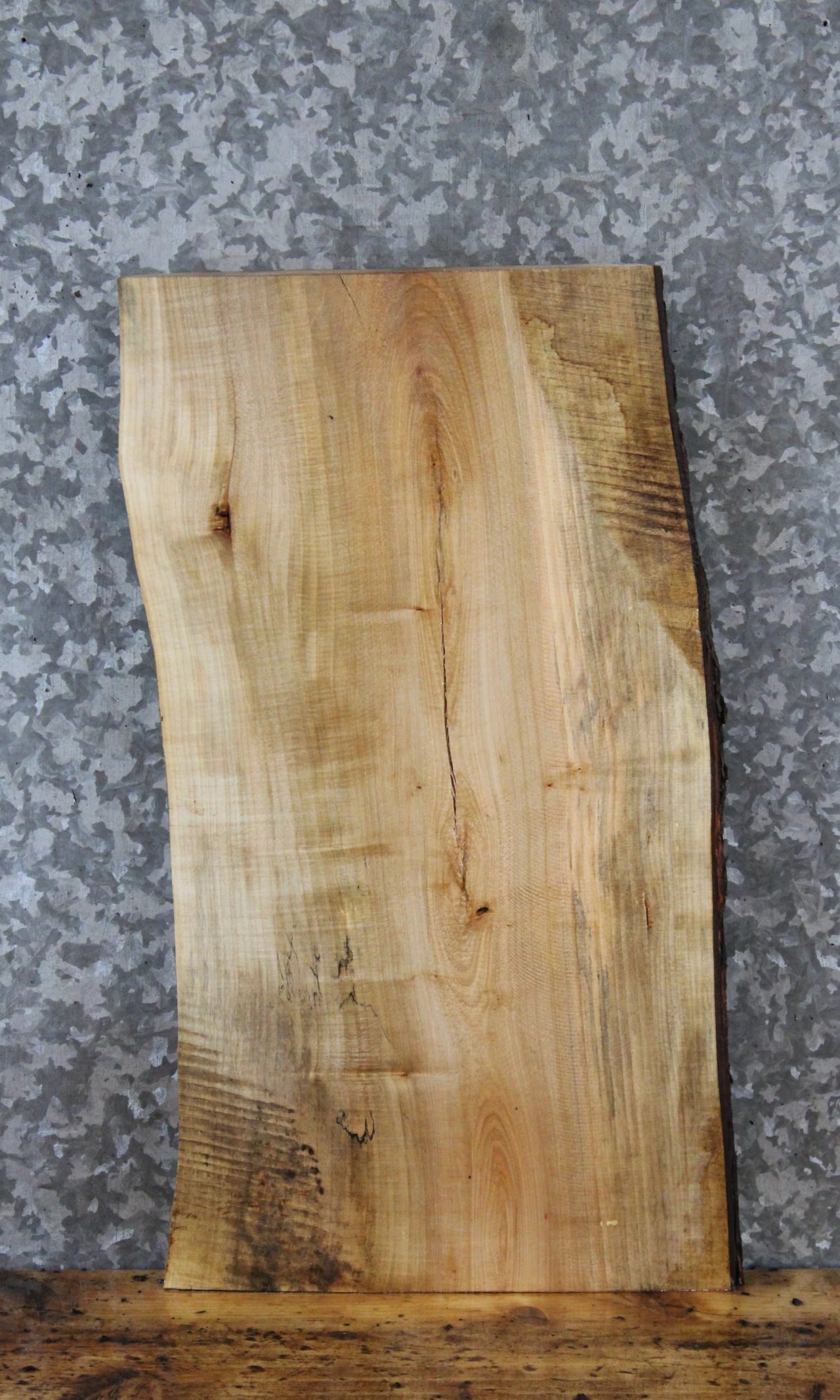 Live Edge Maple Taxidermy Mount/Side Table Top Slab 13341