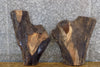 Thumbnail for 2- Figured Black Walnut Epoxy Project/End Table Top Slabs 13344-13345