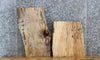 Thumbnail for 2- Live Edge Spalted Maple End/Side Table Top Slabs 13346-13347
