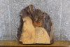 Thumbnail for Salvaged Live Edge Ash Accent/End/Entry Table Top Slab 13359