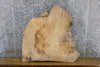 Thumbnail for Salvaged Live Edge Ash Accent/End/Entry Table Top Slab 13359