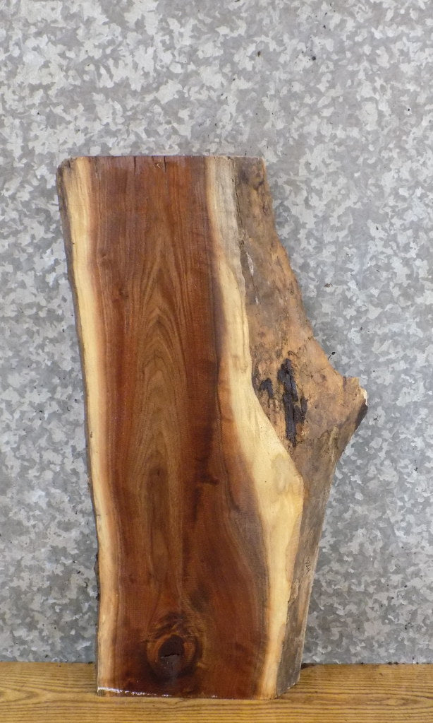 Salvaged Natural Edge Black Walnut End/Entry Table Top Slab 13364