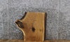 Thumbnail for Oak Live Edge Charcuterie/End Table Slab 13365