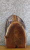 Thumbnail for Black Walnut Live Edge Side/End/Entry Table Top Slab CLOSEOUT 13368