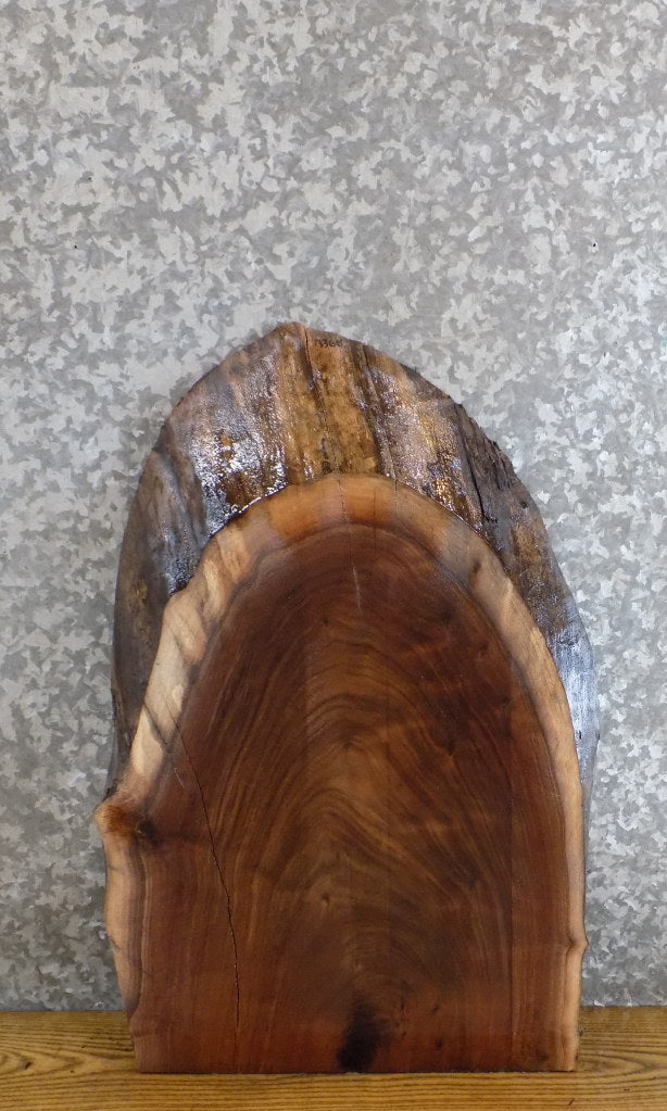 Black Walnut Live Edge Side/End/Entry Table Top Slab CLOSEOUT 13368