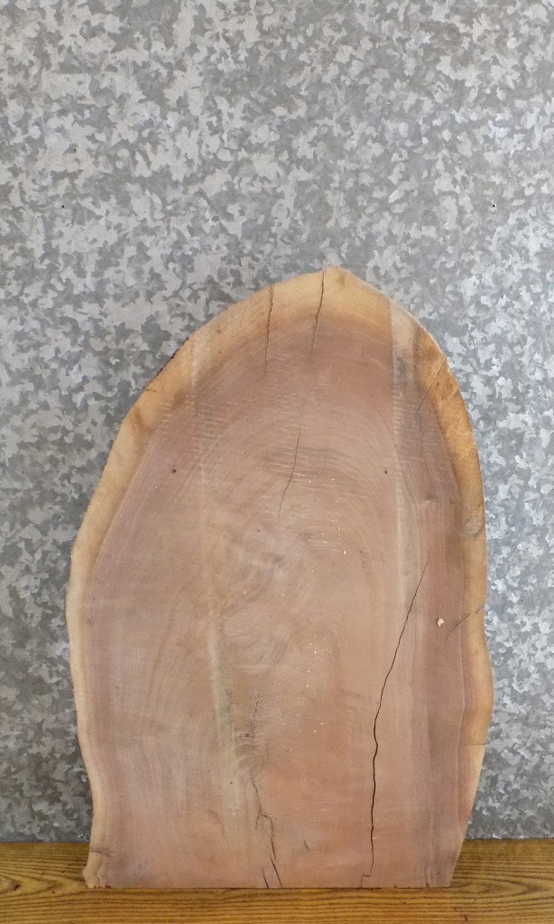 Black Walnut Live Edge Side/End/Entry Table Top Slab CLOSEOUT 13368