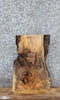 Thumbnail for Spalted Maple Live/Natural Edge Charcuterie Board Slab 13368