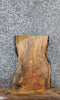 Thumbnail for Spalted Maple Live/Natural Edge Charcuterie Board Slab 13368