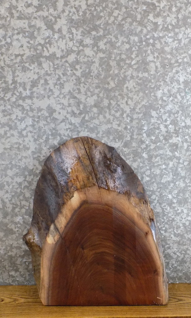 Live Edge Black Walnut End/Entry Table Top Slab CLOSEOUT 13369