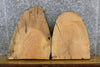 Thumbnail for 2- Live Edge Ash Craft Pack/End Table Top Wood Slabs CLOSEOUT 13370-13371