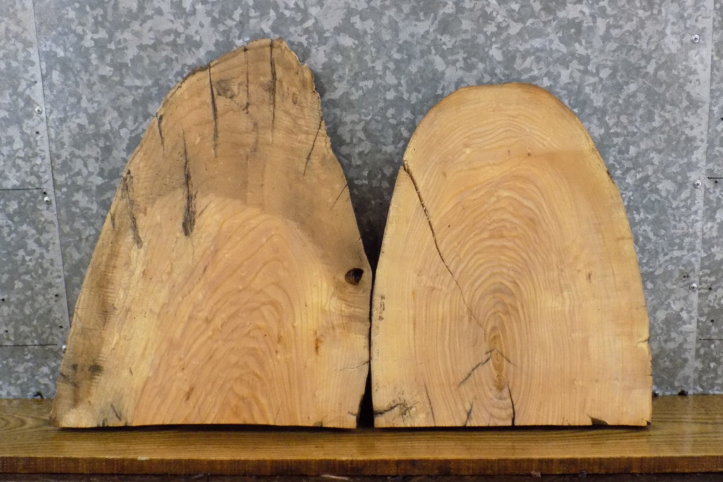 2- Live Edge Ash Craft Pack/End Table Top Wood Slabs CLOSEOUT 13370-13371