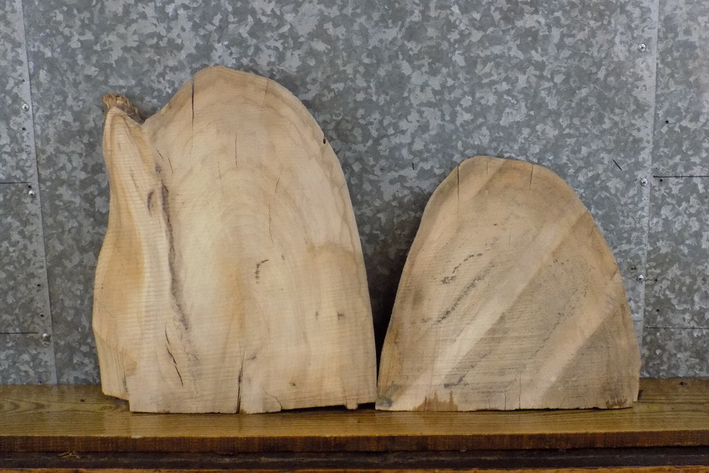 2- Live Edge Hackberry Rustic Oval Cut Craft Pack Slabs CLOSEOUT 13372-13373