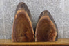 Thumbnail for 2- Partial Live Edge Oval Cut Black Walnut Craft Pack Wood Slabs 13376-13377