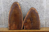 Thumbnail for 2- Partial Live Edge Oval Cut Black Walnut Craft Pack Wood Slabs 13376-13377