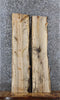 Thumbnail for 2- Spalted Maple Live Edge Charcuterie/Taxidermy/Shelf Slabs 1339-1340