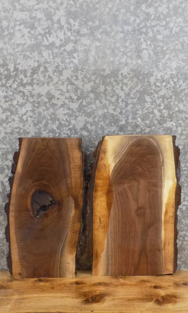 2- Live Edge Black Walnut Taxidermy Mount/Wall Shelf Slabs 13441-13442