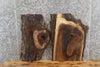 Thumbnail for 2- Live Edge Salvaged Black Walnut Epoxy Project/Clock Slabs 13445-13446
