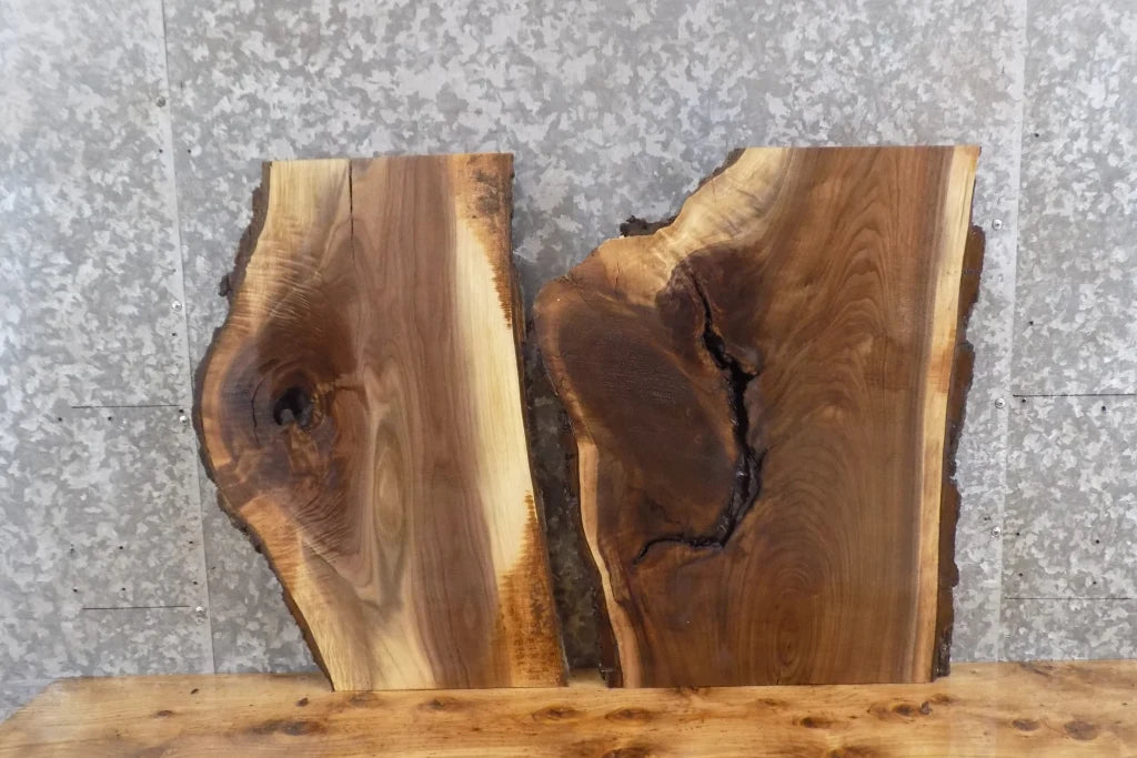 2- Live Edge Salvaged Black Walnut Epoxy Project/Clock Slabs 13445-13446