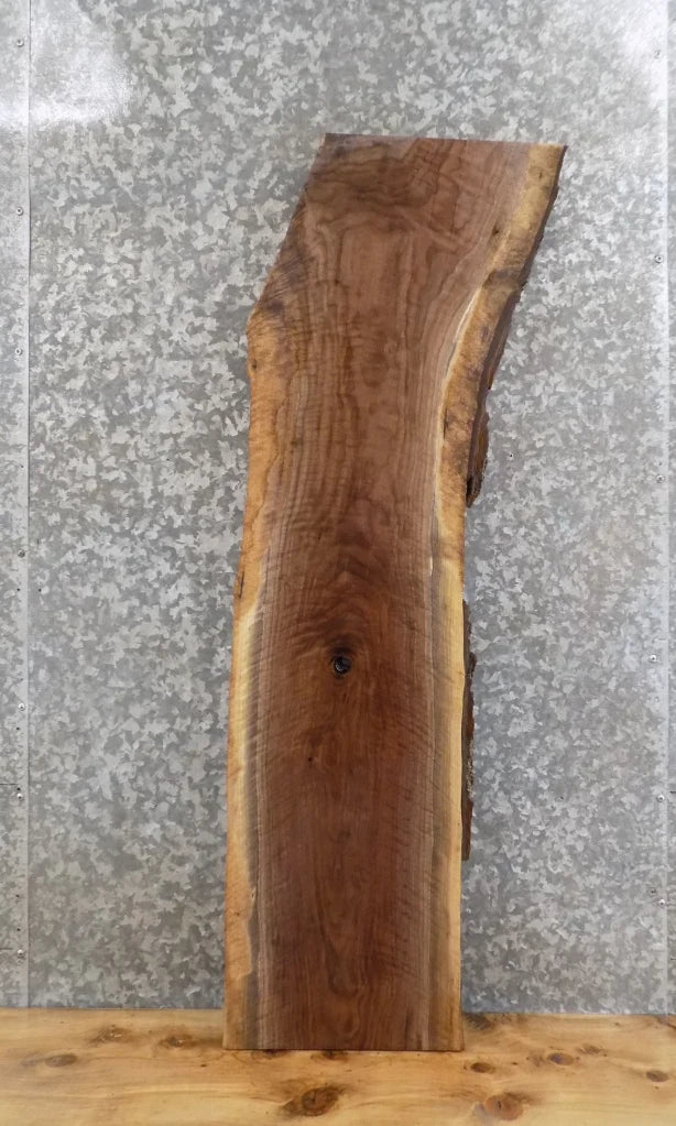 Live Edge Black Walnut Mantle/Wall Shelf/Accent Table Top Slab 1350