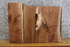 Thumbnail for 4- Kiln Dried Black Walnut Rustic Lumber Boards/Craft Pack 13519-13520