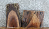 Thumbnail for 2- Live Edge Black Walnut Charcuterie Board/End Table Top Slabs 13532-13533