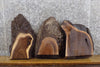 Thumbnail for 3- Black Walnut Partial Live Edge Oval Cut Craft Pack Wood Slabs 13541-13543
