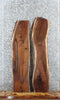 Thumbnail for 2- Walnut Live Edge Charcuterie/Taxidermy/Shelf Slabs 1355-1356