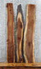 Thumbnail for 3- Live Edge Black Walnut Charcuterie/Taxidermy Slabs 1355-1357