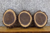 Thumbnail for 3- Natural Edge Bark Black Walnut Round Cut Craft Pack Wood Slabs 13587-13589