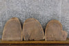 Thumbnail for 3- Black Walnut Partial Live Edge Round Cut Craft Pack Slabs 13602-13604