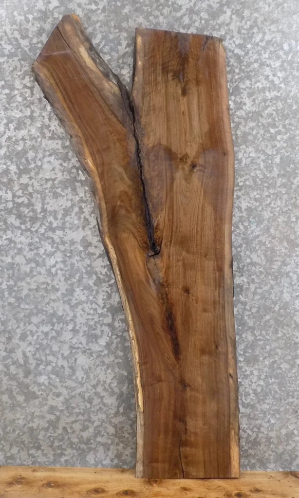 Live Edge Black Walnut Bar Top/Accent Table Top Slab 1367