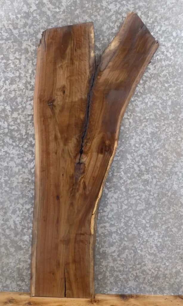 Live Edge Black Walnut Bar Top/Accent Table Top Slab 1367
