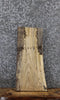 Thumbnail for Spalted Maple Live Edge Charcuterie Board Slab 13695