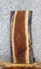Thumbnail for Walnut Live Edge Charcuterie/Shelf/End Table Slab 13697