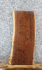 Thumbnail for Walnut Live Edge Charcuterie/Shelf/End Table Slab 13697