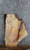 Thumbnail for Live Edge Spalted Maple End/Side Table Top Slab 13700