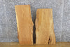 Thumbnail for 2- DIY Live Edge White Oak Rustic Charcuterie Boards/Craft Pack 13701-13702