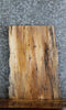 Thumbnail for Live Edge Spalted Maple Coffee/Sofa Table Top Slab 13709