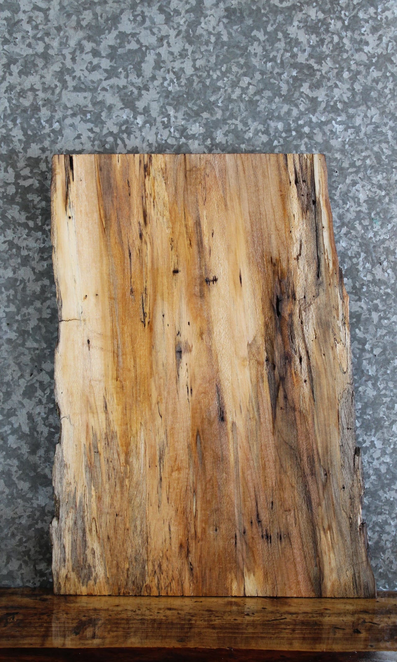 Live Edge Spalted Maple Coffee/Sofa Table Top Slab 13709